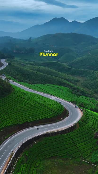 Munnar & Thekkady Hill Getaway — Kerala